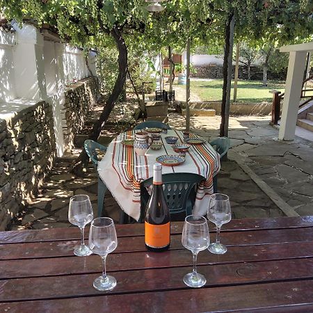 House Sleeps 6-Garden-Freeparking-Bbq-Patio-Petsok Βίλα Ognen Εξωτερικό φωτογραφία