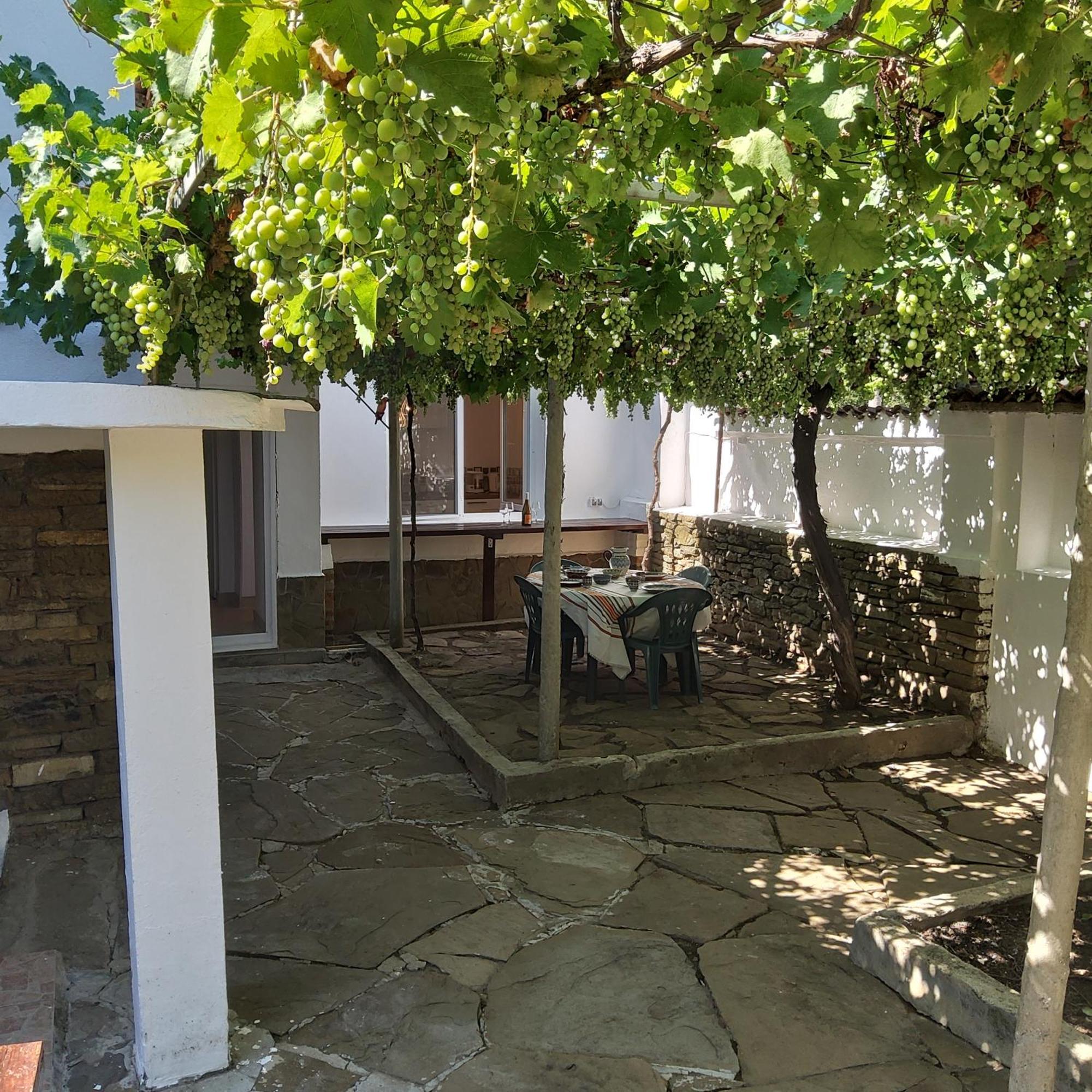 House Sleeps 6-Garden-Freeparking-Bbq-Patio-Petsok Βίλα Ognen Εξωτερικό φωτογραφία